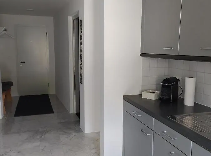 Haus Rovina 公寓 Münster
